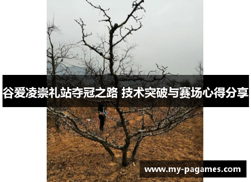 谷爱凌崇礼站夺冠之路 技术突破与赛场心得分享 谷爱凌崇礼站夺冠之路 技术突破与赛场心得分享