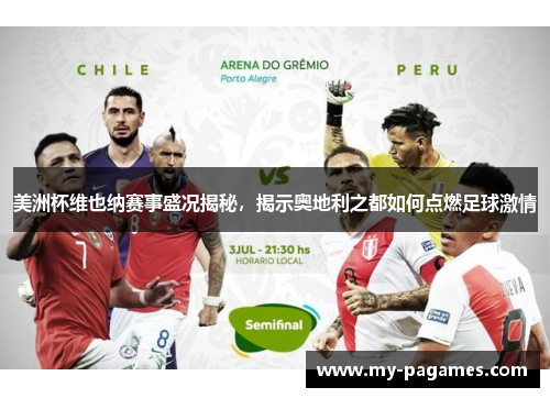 美洲杯维也纳赛事盛况揭秘，揭示奥地利之都如何点燃足球激情